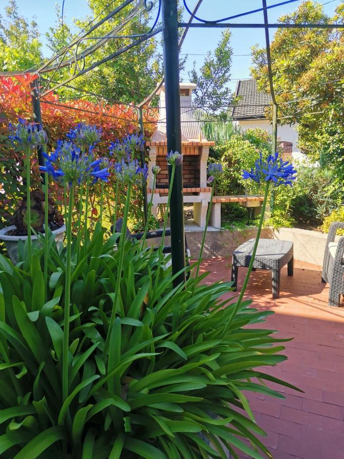 Apartment Casa Flores Ll *